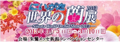 にいがた世界の蘭展2013 出展の御案内